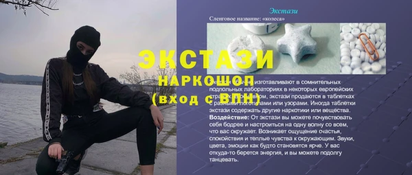 молекула духа Богородицк