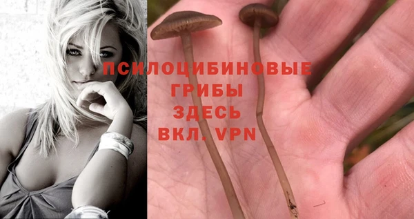 молекула духа Богородицк