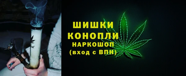 молекула духа Богородицк