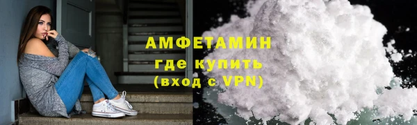 молекула духа Богородицк