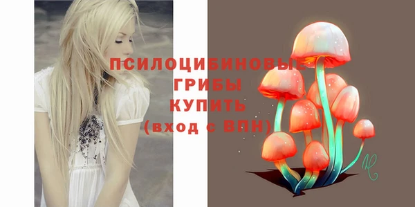 молекула духа Богородицк