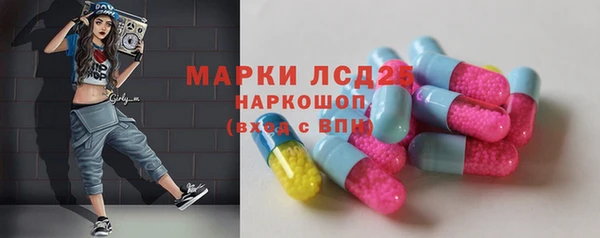 молекула духа Богородицк
