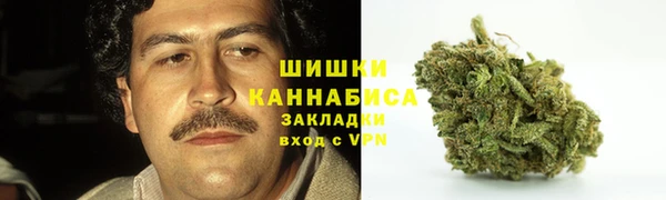молекула духа Богородицк