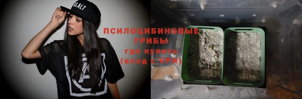 молекула духа Богородицк