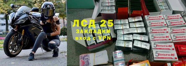 мяу мяу кристалл Богданович