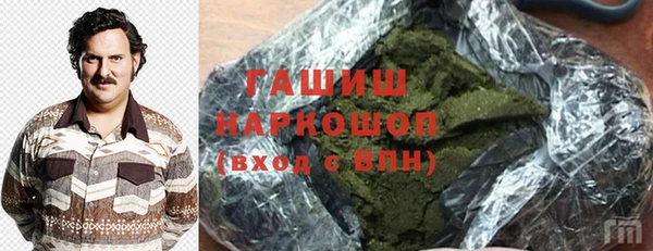 молекула духа Богородицк