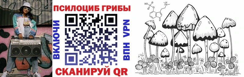 Галлюциногенные грибы Psilocybe  МЕГА как зайти  Костомукша 